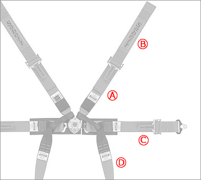 CCS622F-MID サイズ表